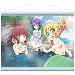 Dropkick on My Devil ' B2 Wall Scroll It's a Hot Spring