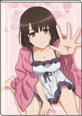 B6 Monthly Schedule Diary Saekano: How to Raise a Boring Girlfriend Fine Megumi Kato