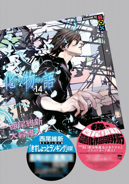 Bakemonogatari 14 (BOOK)