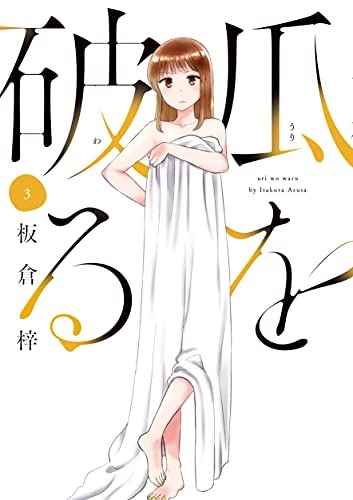 Furi o Yaburu 3 (BOOK)