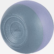 Dolfin Kickball