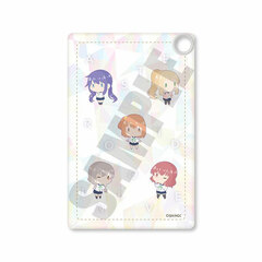 Asteroid in Love Pass Case POTE-A