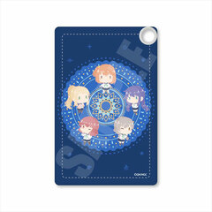 Asteroid in Love Pass Case POTE-B