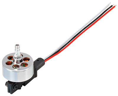 Xtreme Brushless Motor