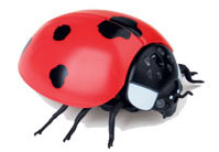 RC Hashiru!! Konchuu Series No.5 Lady Bug