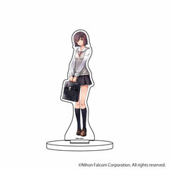 Character Acrylic Figure 