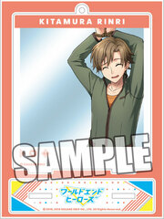 World End Heroes Snapshot Stand 