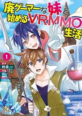 Hai Gamer na Omouto to Hajimeru VRMMO Seikatsu (BOOK)
