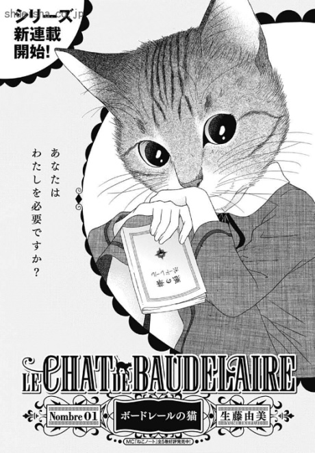 Baudelaire no Neko (1) (BOOK)