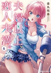 Fuufu Ijou, Koibito Miman. (6) (BOOK)