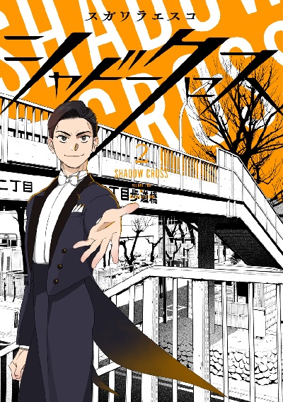 Shadow Cross (2) (BOOK)