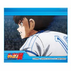 Captain Tsubasa Miniature Frame Stand Badge Tsubasa Ozora