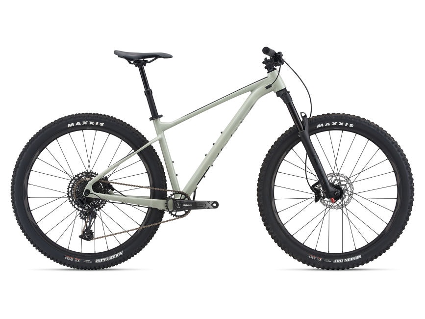 Giant Fathom 29 1 2021