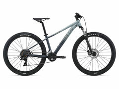 We Ship! Liv Tempt 29 4 - Grey 2021