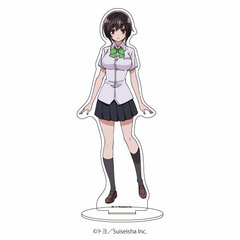 Chara Acrylic Figure 