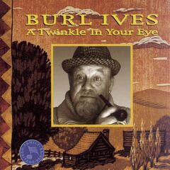 A Twinkle In Your Eye (CD)