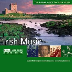 The Rough Guide To Irish Music [Import] (CD)