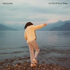 I've Felt All These Things (LP)