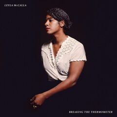 Breaking The Thermometer (LP)