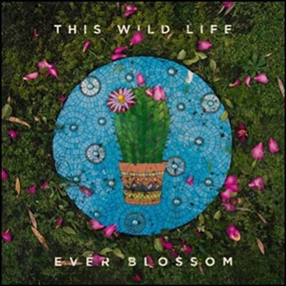 Ever Blossom (CD)