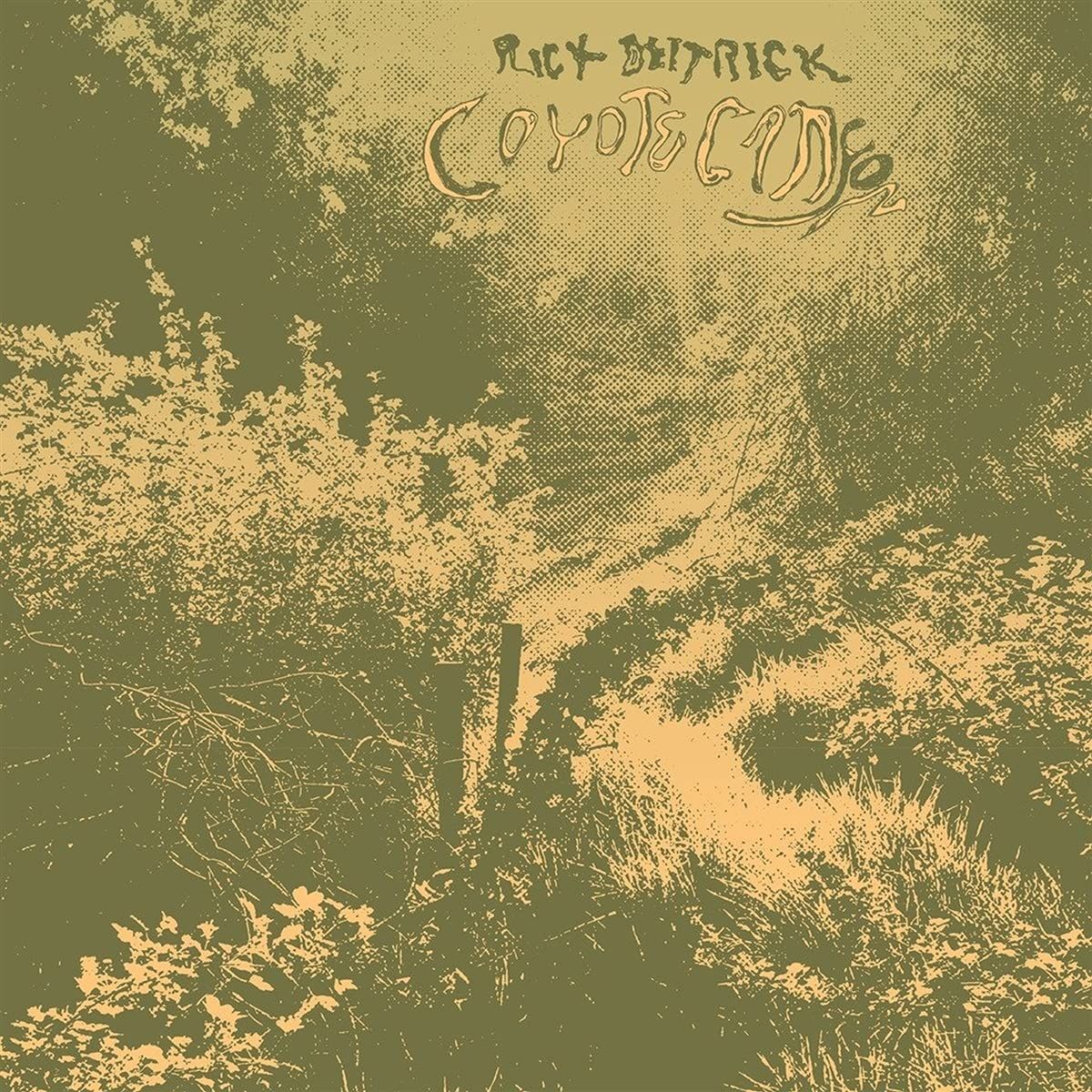 Coyote Canyon (LP)