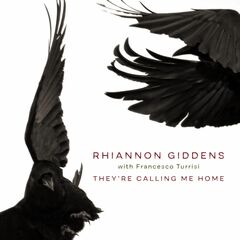 They're Calling Me Home (CD)