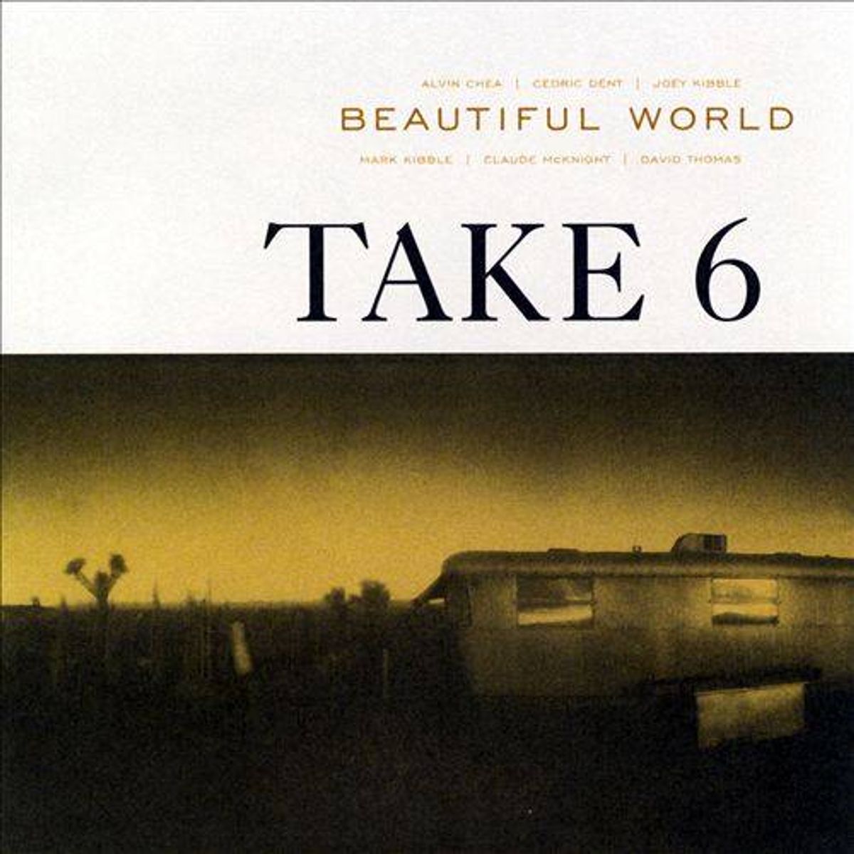 Beautiful World (CD)