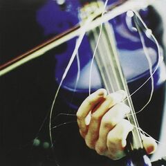 Wild Blue (CD)