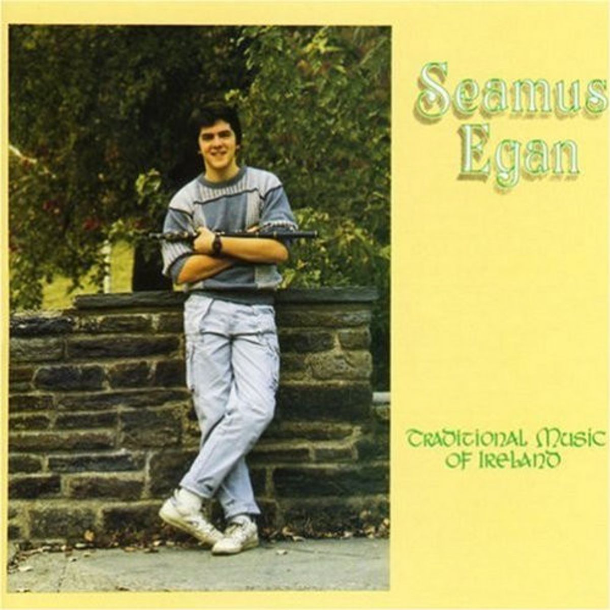 Traditional Music Of Ireland (CD)