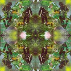 Daggers At The Moon (CD)
