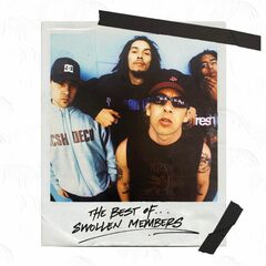 The Best Of Swollen Members (CD)