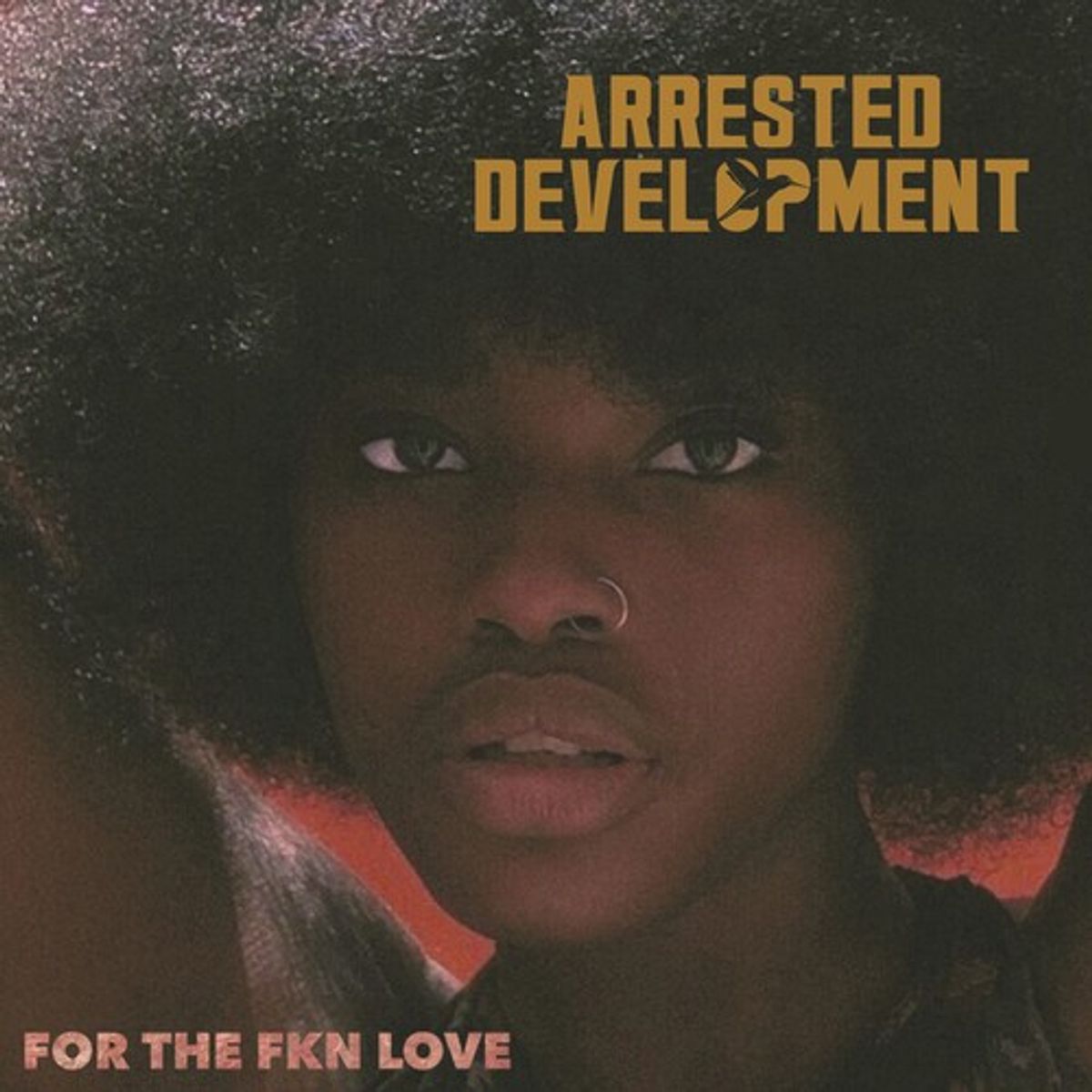 For The FKN Love (CD)