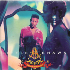 The Voice In The Mirror (CD)