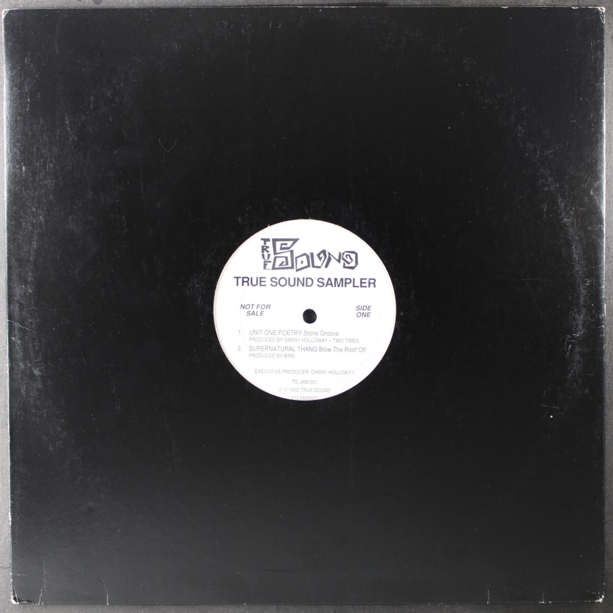 True Sound Sampler [Promo] (12)