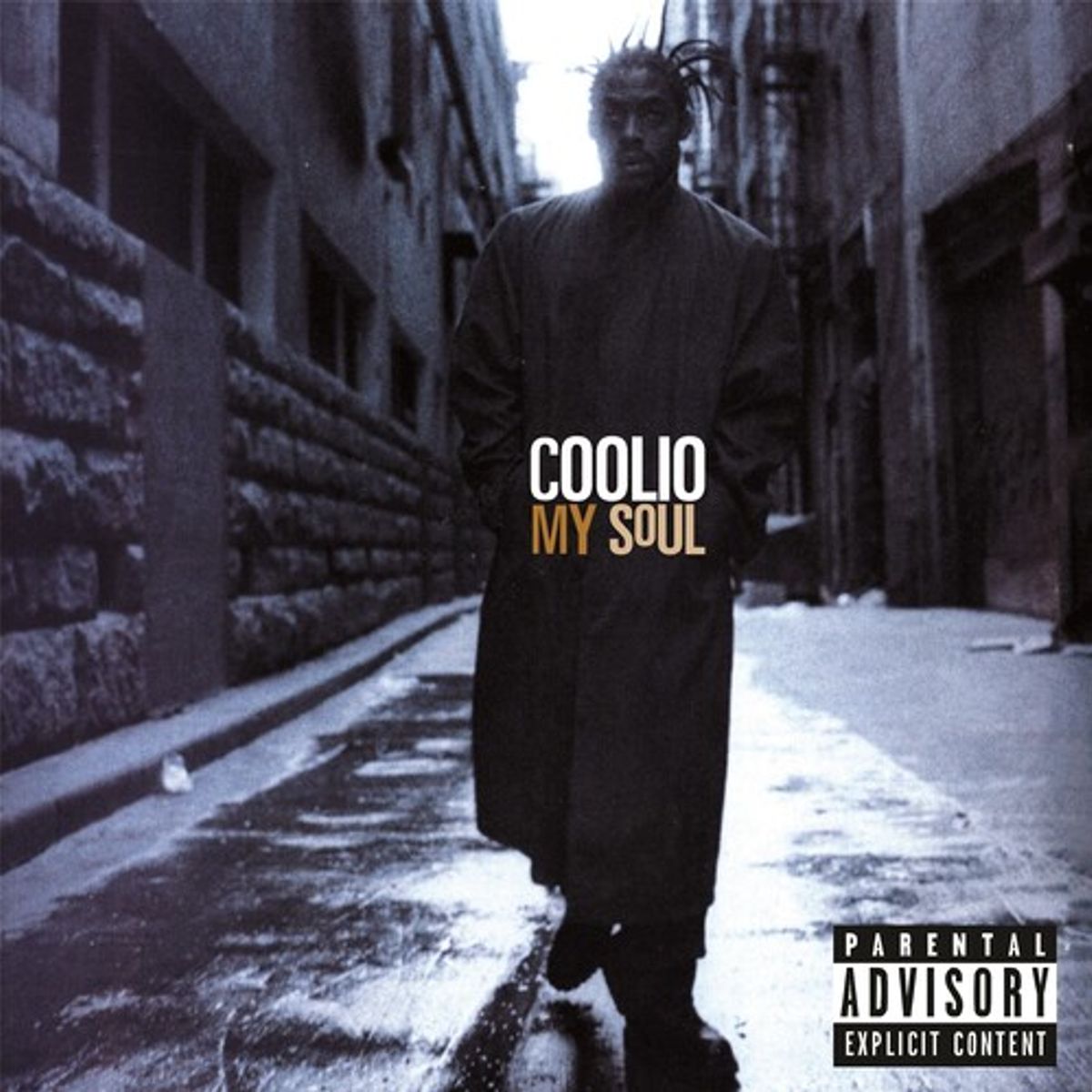 My Soul [25th Anniversary Edition] (LP) [Explicit]