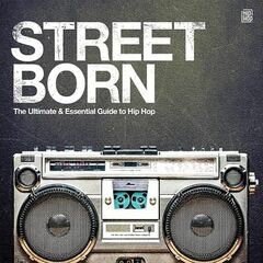 Street Born: The Ultimate & Essential Guide To Hip Hop [Silver Vinyl] (LP)