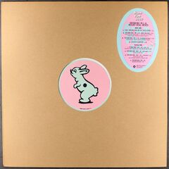 Drinking In L.A. Mount Real Remixes [1997 Canadian Clear Vinyl Promo] 12