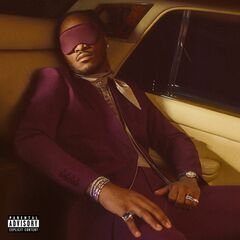 I NEVER LIKED YOU (CD) [Explicit]