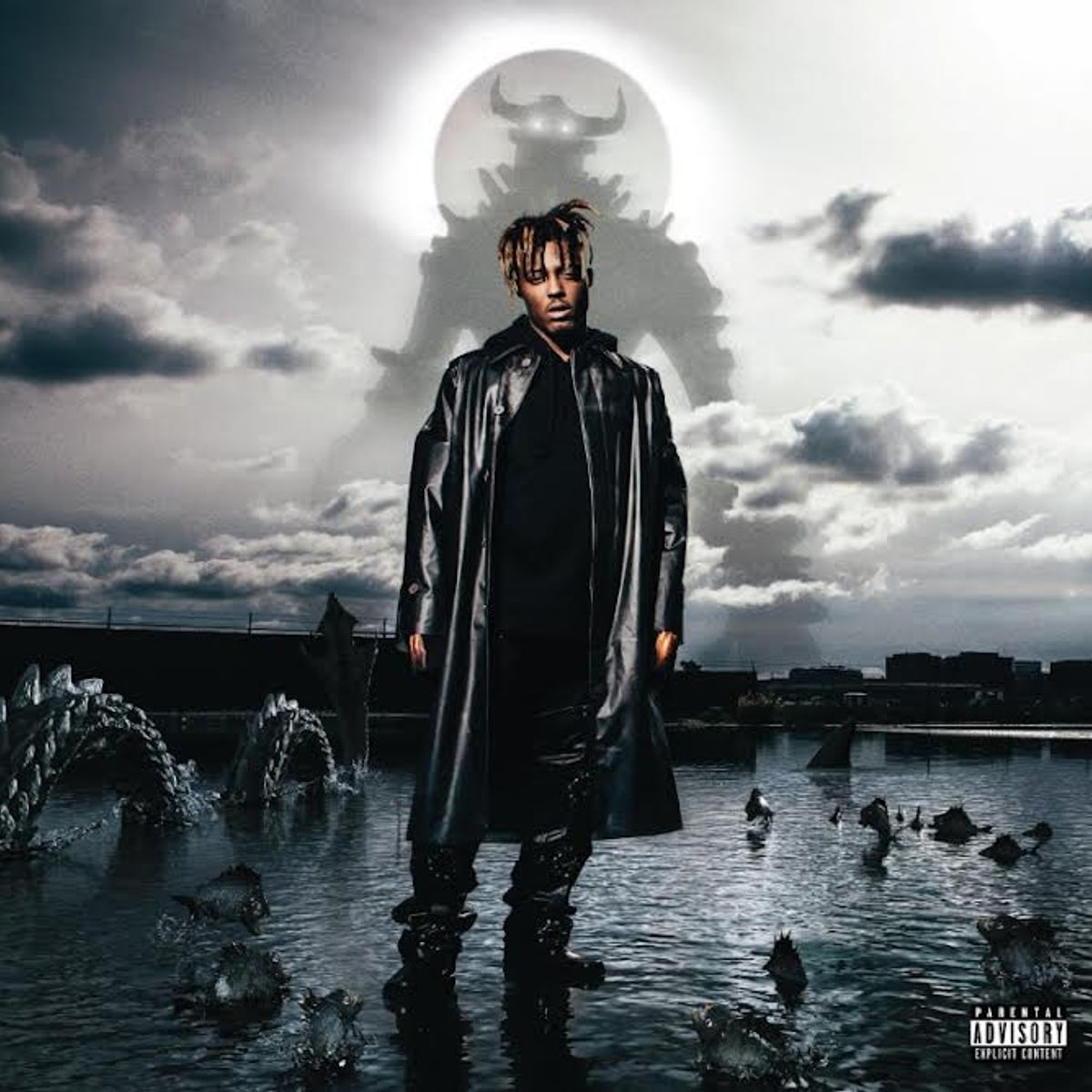 Fighting Demons (LP)