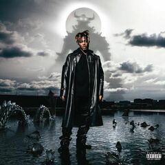 Fighting Demons (LP)