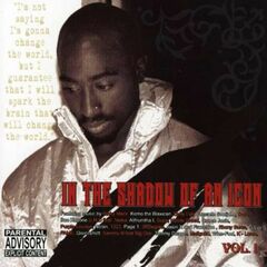 In The Shadow of An Icon (CD) [Explicit]