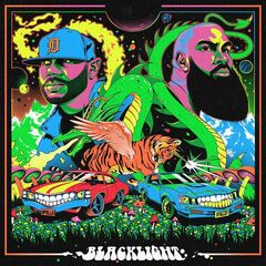 Blacklight (CD)