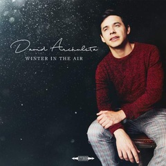 Winter In The Air (CD)