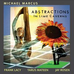 Abstractions In Lime Caverns (CD)