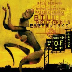 The Sound Of Surprise (CD)