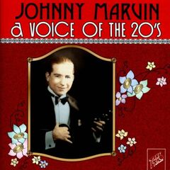 A Voice Of The 20's (CD)