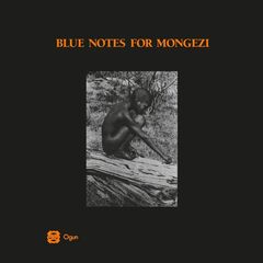 Blue Notes For Mongezi (LP)