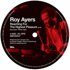 Reaching The Highest Pleasure / I Am Your Mind Part 2 (Pepe Bradrock Remix) (10