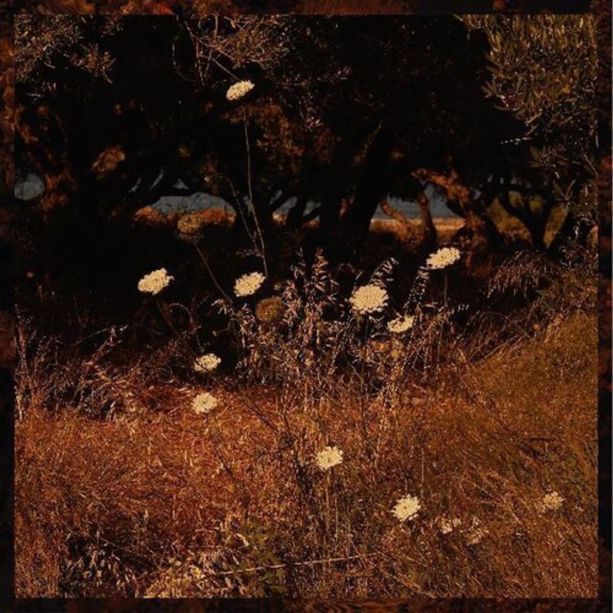 Earth Patterns (CD)