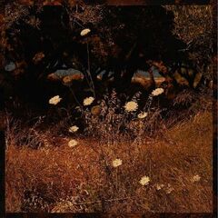 Earth Patterns (CD)